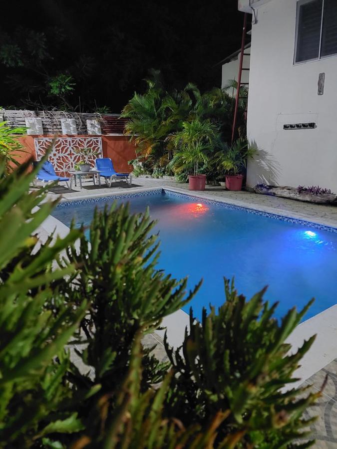 Complejo Villa Las Palmeras Piscina, Billar, Jardin, Bbq @Drvacationsrental Samana エクステリア 写真