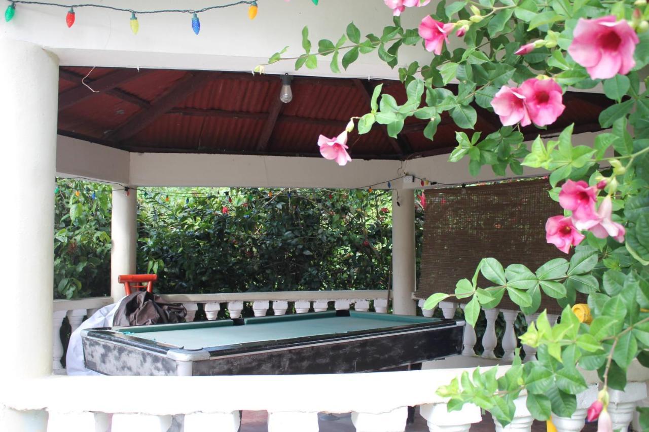 Complejo Villa Las Palmeras Piscina, Billar, Jardin, Bbq @Drvacationsrental Samana エクステリア 写真