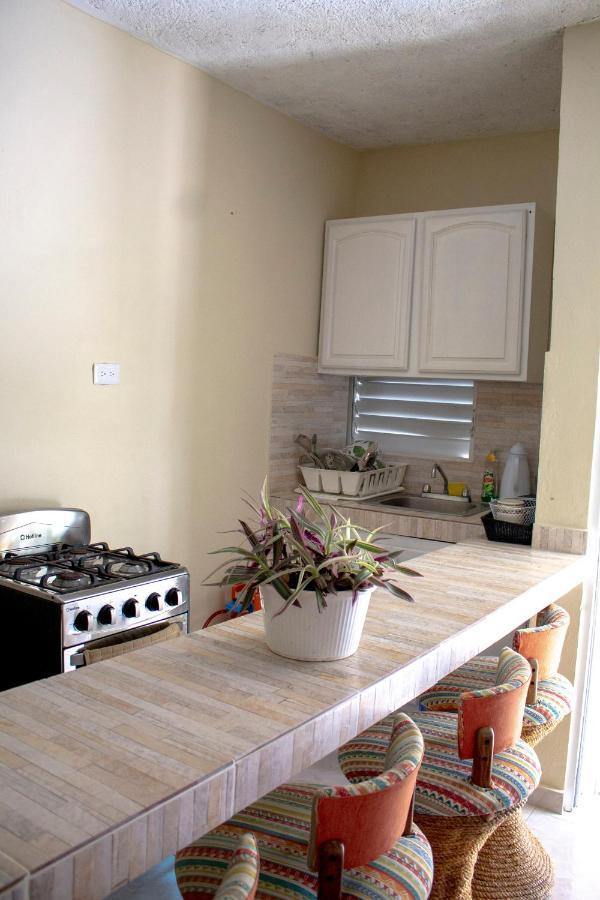 Complejo Villa Las Palmeras Piscina, Billar, Jardin, Bbq @Drvacationsrental Samana エクステリア 写真