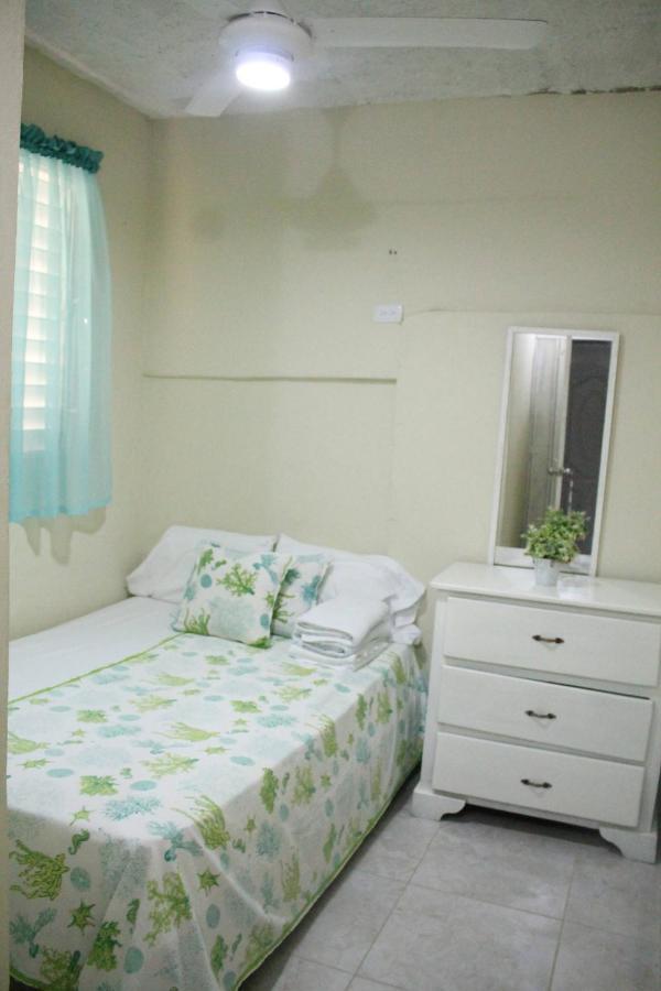 Complejo Villa Las Palmeras Piscina, Billar, Jardin, Bbq @Drvacationsrental Samana エクステリア 写真