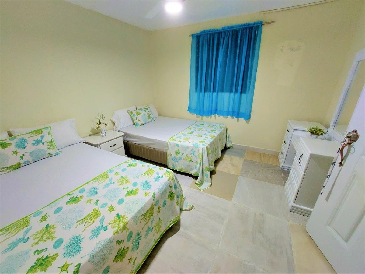 Complejo Villa Las Palmeras Piscina, Billar, Jardin, Bbq @Drvacationsrental Samana エクステリア 写真